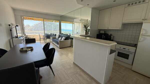 Appartement 3P Magnifique Vue Mer WIFI Box bat Ducal