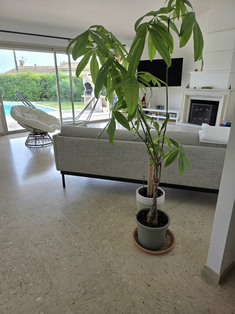 Villa 5P jardin Piscine wifi clim proche village Mouans sartoux et cannes