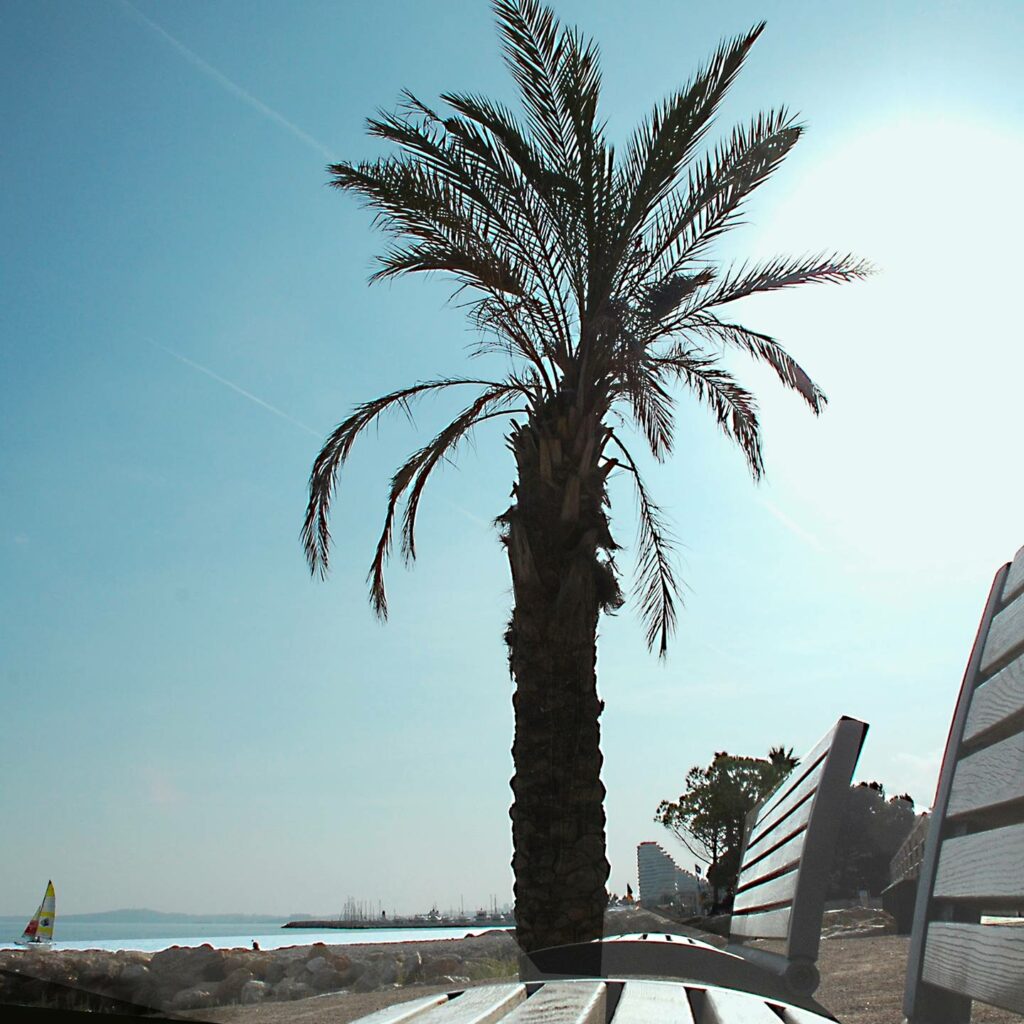 Duplex dans Villa avec grand Jardin - BARBECUE - Sud - Calme - WIFI - MER - RIVIERE